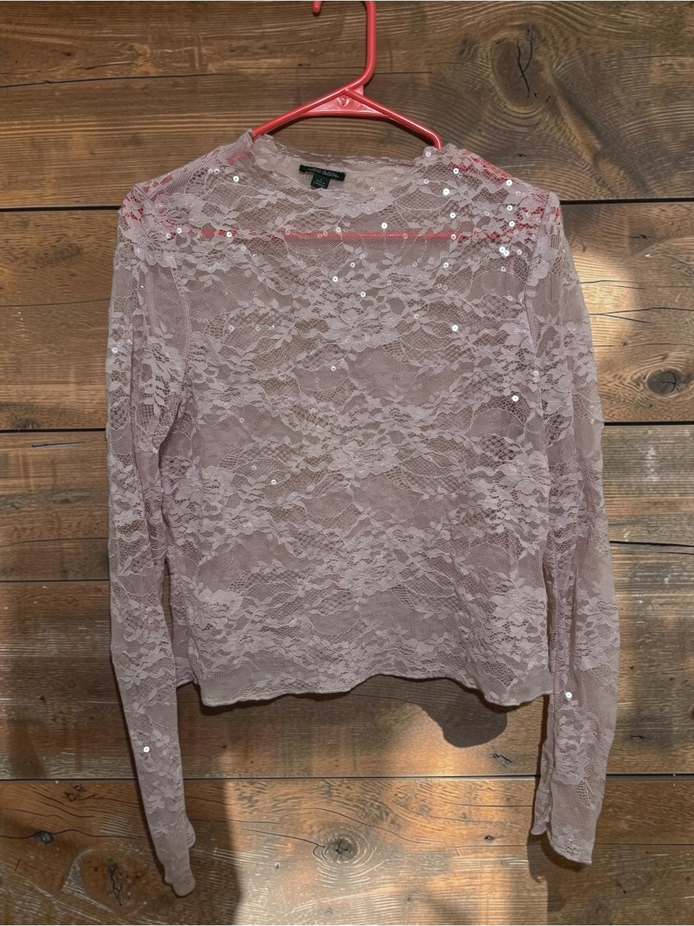 wild fable Sequin Lace Long-Sleeve Top in Blush Pink